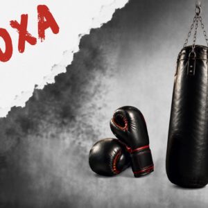 DIMARTS: TALLER DE BOXA