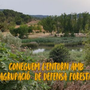 DIVENDRES: CONEIXEM EL TERRITORI - CONEGUEM L’ENTORN AMB L’AGRUPACIÓ DE DEFENSA FORESTAL
