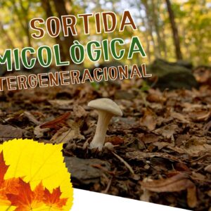 DIVENDRES: CONEIXEM EL TERRITORI - SORTIDA MICOLÒGICA INTERGENERACIONAL
