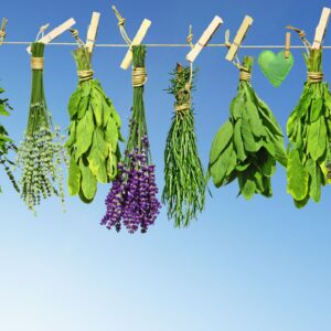 Qui ha dit males herbes?